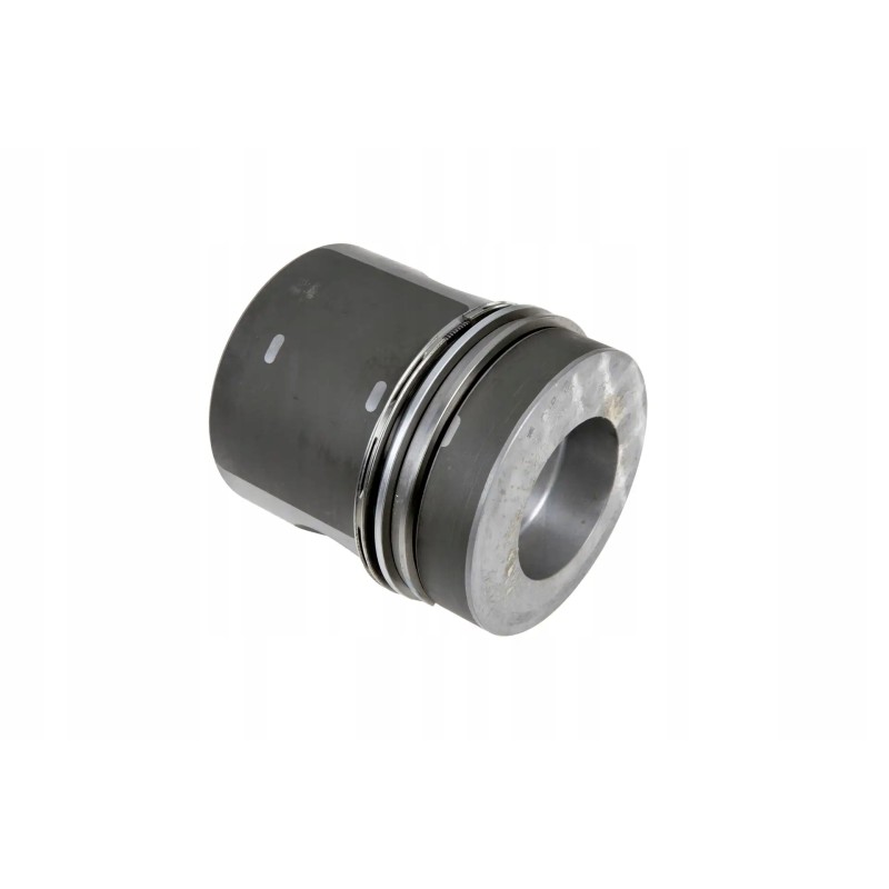 3660306817 complete piston