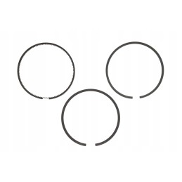 Piston rings 100x2 5x2 5x4mm claas mf