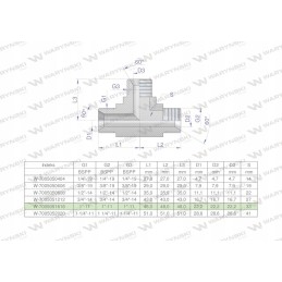 Hydraulic tee inch BBB 1 BSP Warynski