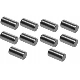 Satellite final drive rollers, 10 pcs. Terex Fermec