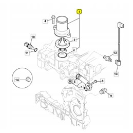 Thermostat with housing for JCB backhoe loader