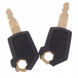 2 pieces metal caterpillar key key 5p850