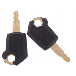 2 pieces metal caterpillar key key 5p850