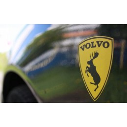 Black sticker crazy fate volvo yellow fate 7 cm