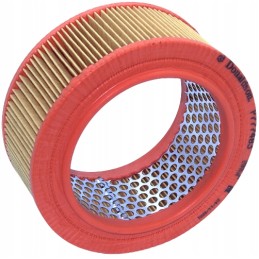 Air filter SL6081 P77 7483 partner