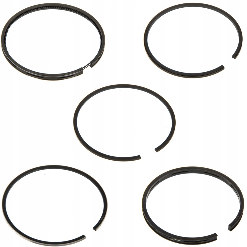 Piston rings lower oil ring mf3