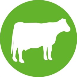 Disposable syringe hsw norm ject 2ml 3ml pack