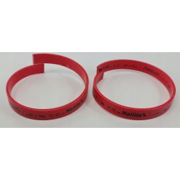 Hallite L 504 guide band 20 x 4