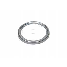Seal cover for steering knuckle bearings zf