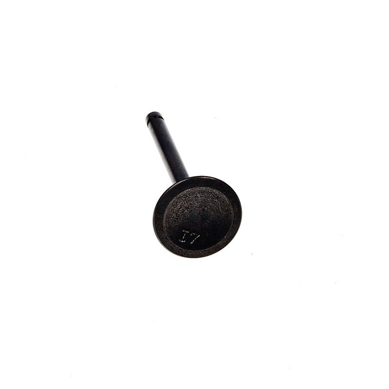 Wacker wm100 eh10 intake valve 0217797