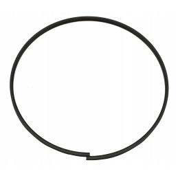 Sealing ring