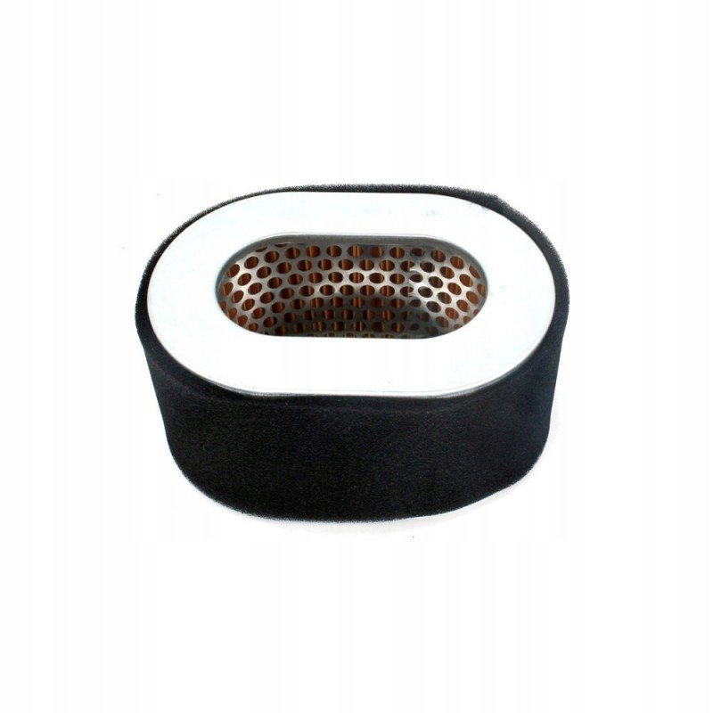 Yanmar L100 air filter