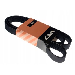 Multi V-belt 8 pk cva