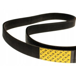 Multi V-belt 8 pk cva