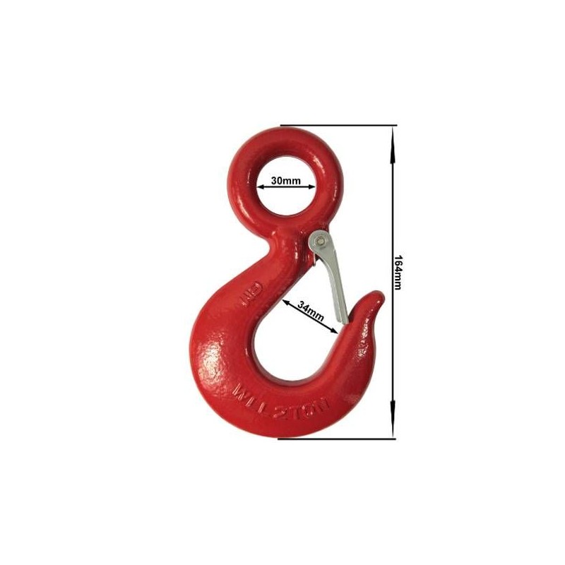 Strong hook with security 2000 kg for the workshop
