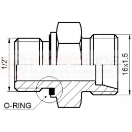Set of connections for orbitrol m16x1 5 hydrolider