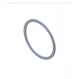 O ring cnh new holland 235784