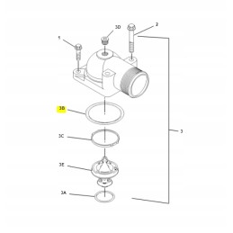Cat oring 1416188 cogito store zabrze