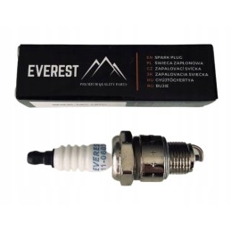 Everest bp6hs n8y l8yc spark plug