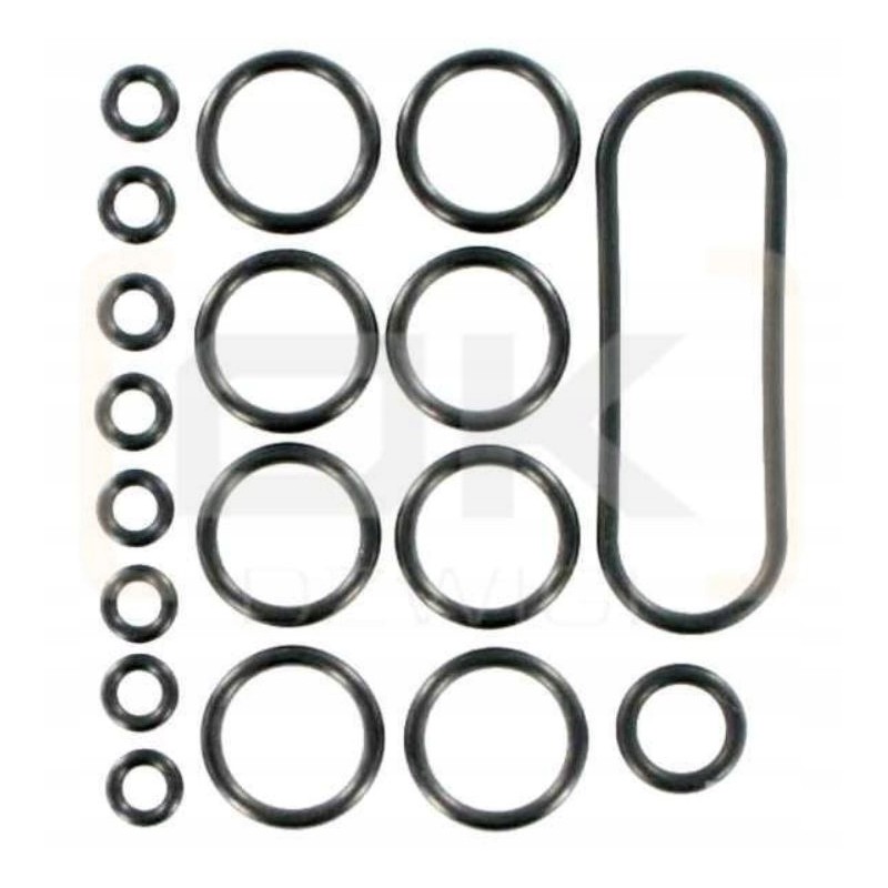 Pvas seal kit