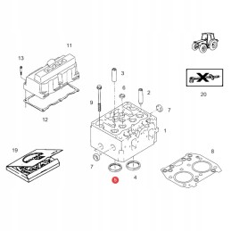Exhaust valve seat fendt f824200210960 org