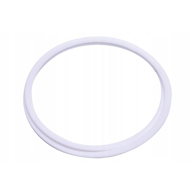 395590x1n cylinder seal ring