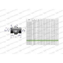 Hydraulic connection bb m30x2 x 3 4 Warynski