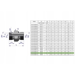 Hydraulic connection bb m36x2 x 3 4 Warynski