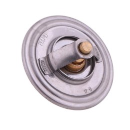 Thermostat sw400 bizon polmo