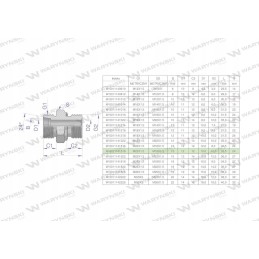 Metric hydraulic connection bb xge m22x1 5
