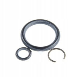 Set of seals mf 3100773m91 original