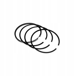 Vpb4060 vapormatic jd piston ring set