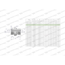Metric hydraulic connection bb xge m16x1 5