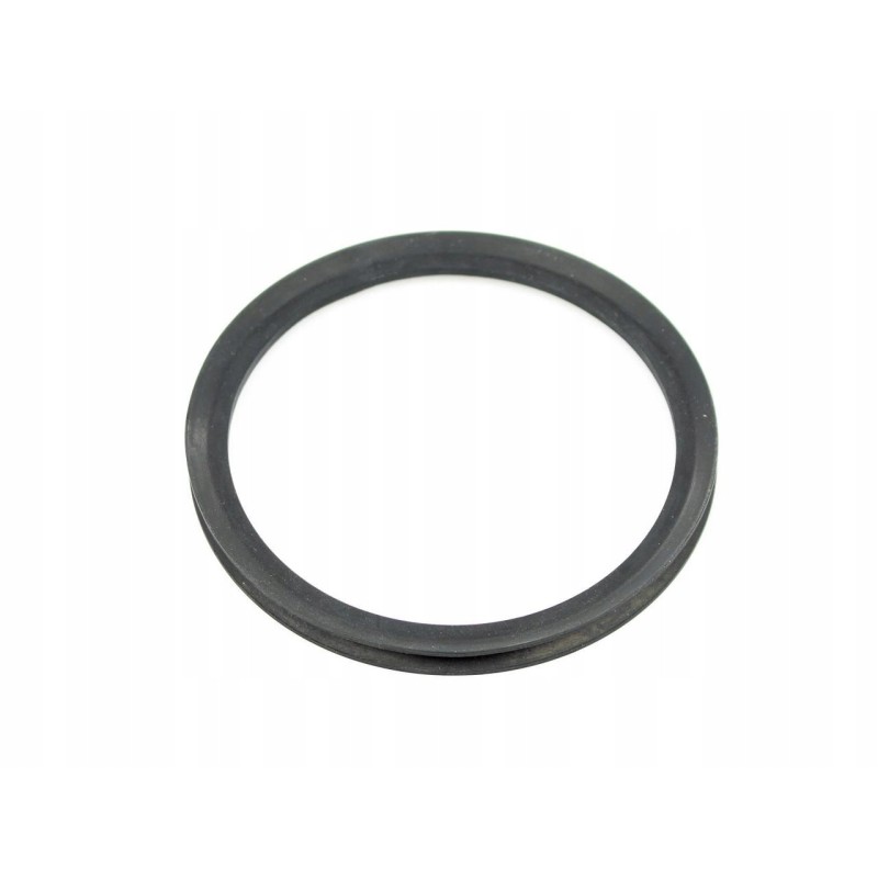 Drive shaft seal 3759661m1