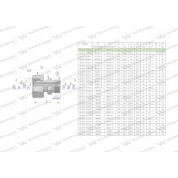 Hydraulic connector AB M14x1 5 M12x1 5 Warynski