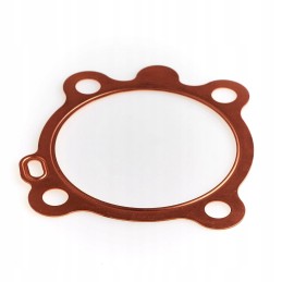 Hatz 1b30 head gasket 0 8 05096801