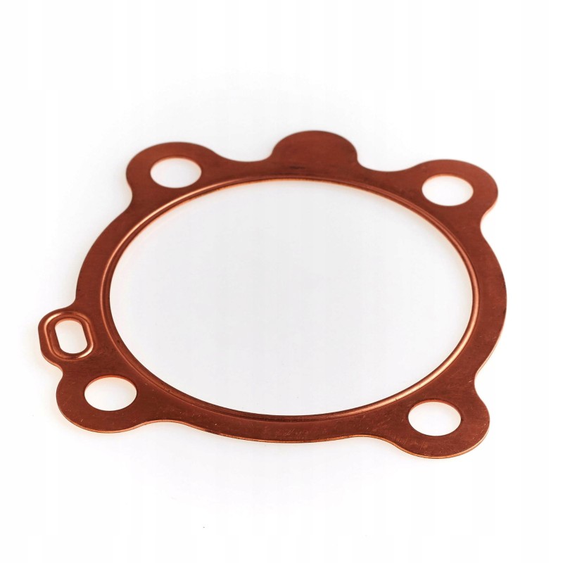 Hatz 1b30 head gasket 0 8 05096801
