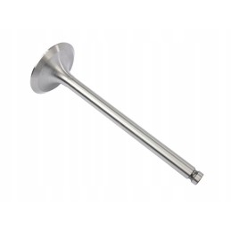 Suction valve mf 31431681