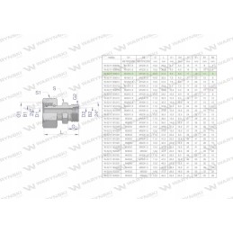Hydraulic connector AB M16x1 5 M14x1 5 Warynski