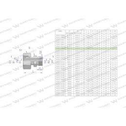 Hydraulic connector AB M22x1 5 M12x1 5 Warynski