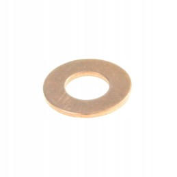 Injection washer fendt f824200710050 original