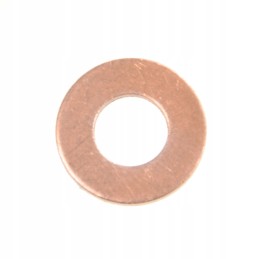 Injection washer fendt f824200710050 original