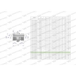 Hydraulic connection bb xge m36x2 28l2 28l x 3