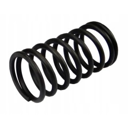 Outer valve spring 950508 zetor for sale