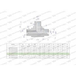 Hydraulic tee inch bbb 3 4 bsp