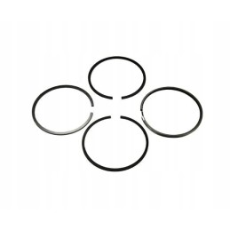 Set of piston rings for the fi 102 4 p 50 engine