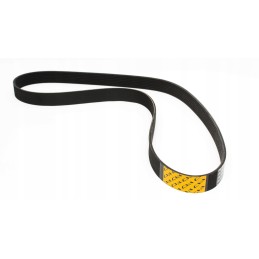 Multi V-ribbed belt cva volvo dump truck