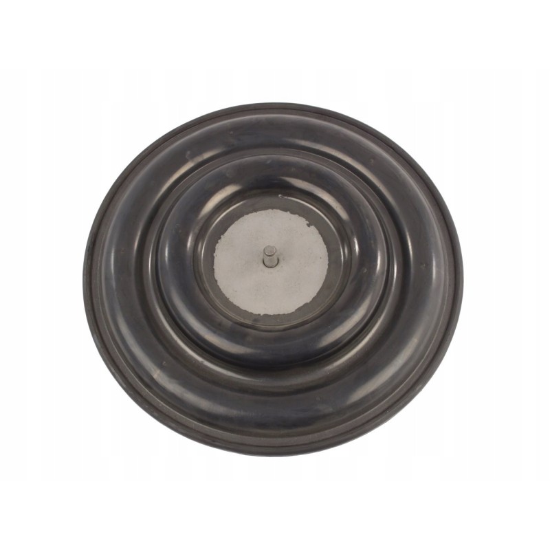 Seat membrane with valve c385 45115417