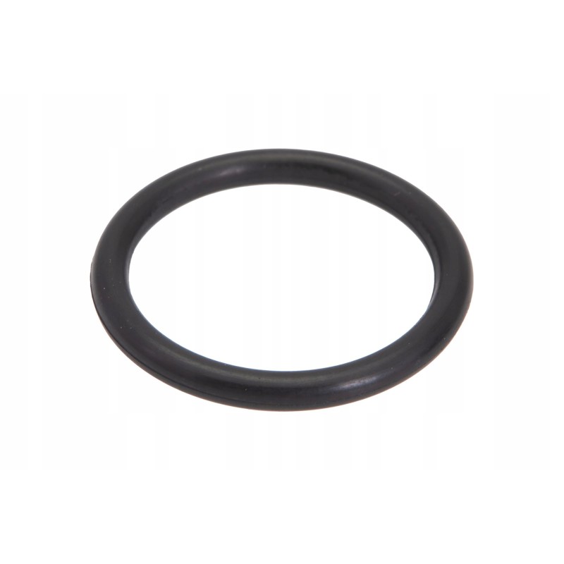 2025090p010 o-ring 20 x 2 5 mm