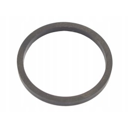 Pump seal ring 713943